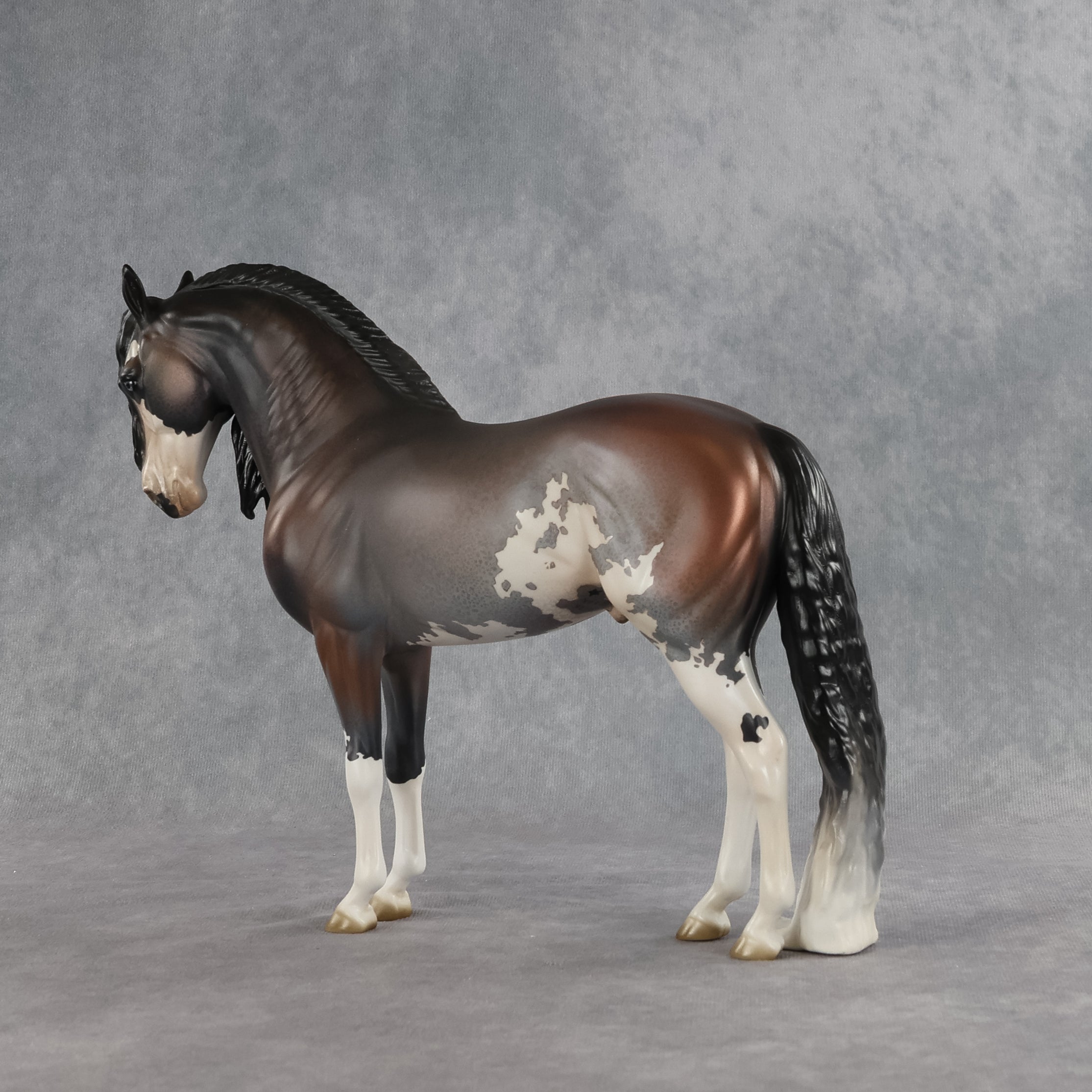 Ichabod OOAK FCM Andalusian by Jess Hamill SHCF26