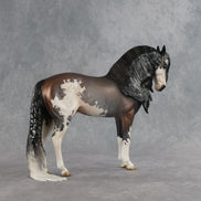 Ichabod OOAK FCM Andalusian by Jess Hamill SHCF26