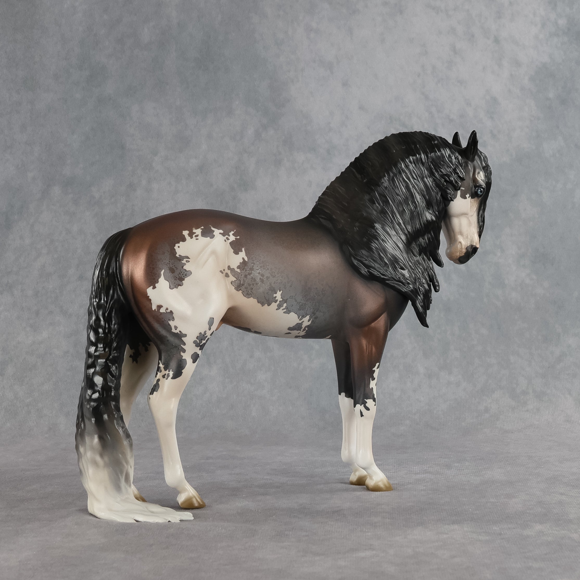 Ichabod OOAK FCM Andalusian by Jess Hamill SHCF26