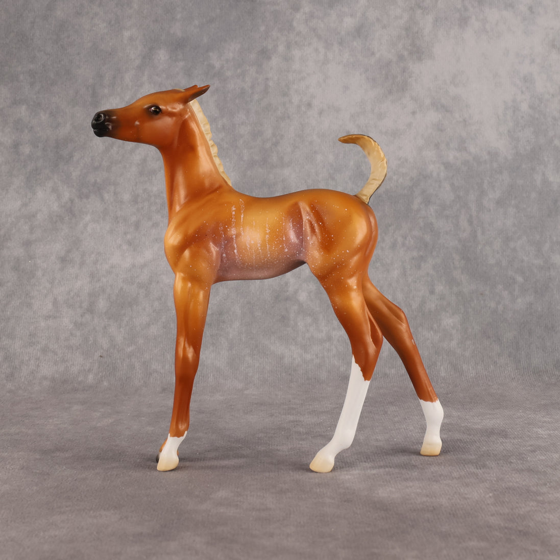 If Looks Could Kill! LE-5 EFCM Arabian Foal by Madi Wiseman LHS26