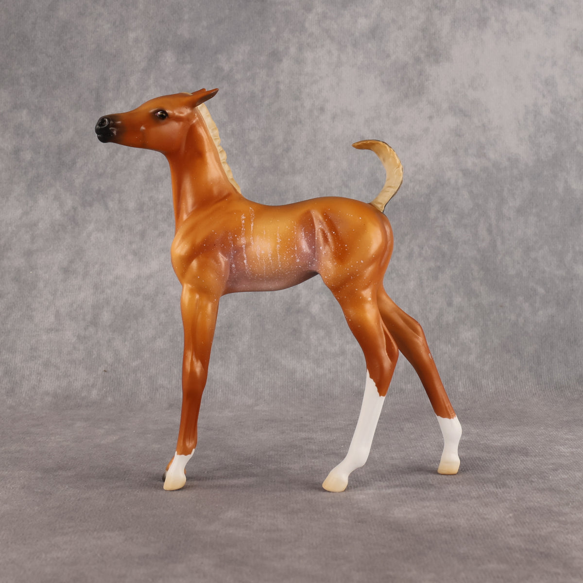 If Looks Could Kill! LE-5 EFCM Arabian Foal by Madi Wiseman LHS26