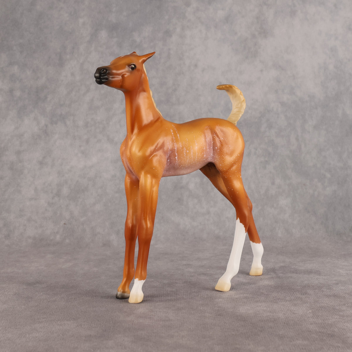 If Looks Could Kill! LE-5 EFCM Arabian Foal by Madi Wiseman LHS26