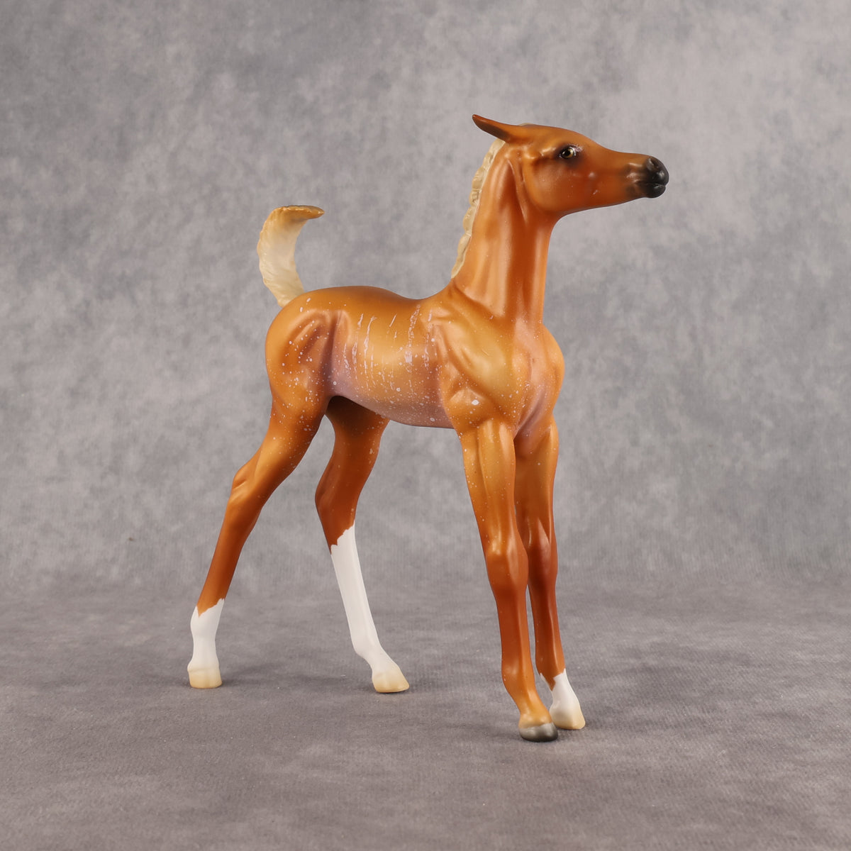 If Looks Could Kill! LE-5 EFCM Arabian Foal by Madi Wiseman LHS26