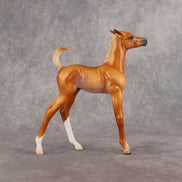 If Looks Could Kill! LE-5 EFCM Arabian Foal by Madi Wiseman LHS26
