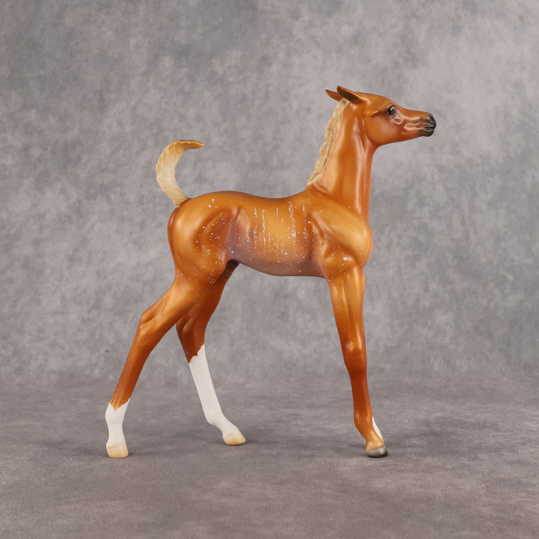 If Looks Could Kill! LE-5 EFCM Arabian Foal by Madi Wiseman LHS26