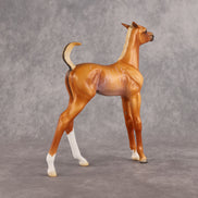 If Looks Could Kill! LE-5 EFCM Arabian Foal by Madi Wiseman LHS26