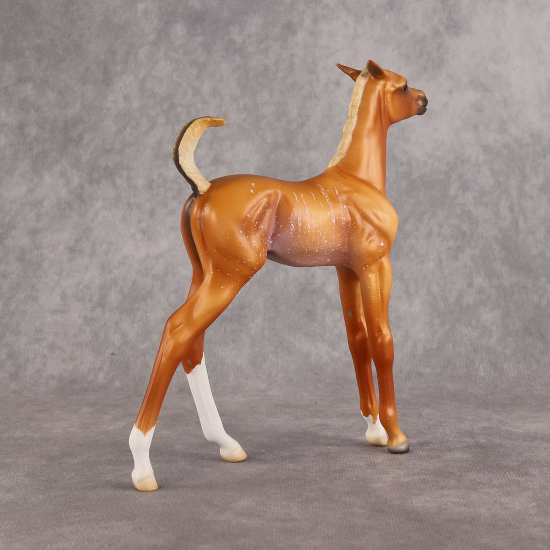 If Looks Could Kill! LE-5 EFCM Arabian Foal by Madi Wiseman LHS26