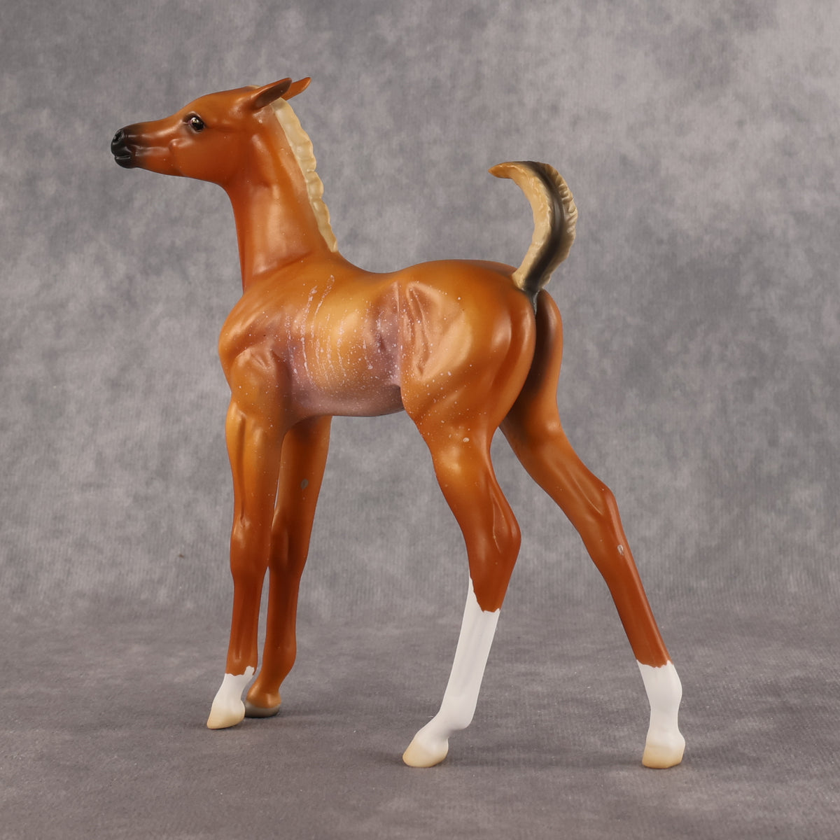If Looks Could Kill! LE-5 EFCM Arabian Foal by Madi Wiseman LHS26