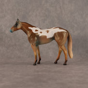 Ill Met King OOAK Chip Stock Horse by Alex Fortman LHS26