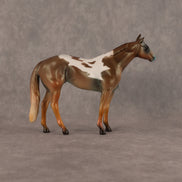 Ill Met King OOAK Chip Stock Horse by Alex Fortman LHS26