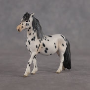 Ilomilo OOAK EFCM Chip Pony by Kristen Cermele LHS26