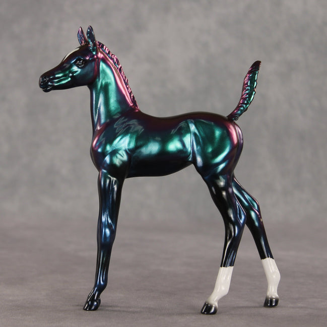 Integral OOAK Arabian Foal by Erin Corbett VV26