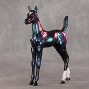 Integral OOAK Arabian Foal by Erin Corbett VV26