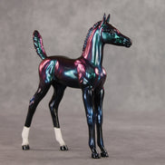 Integral OOAK Arabian Foal by Erin Corbett VV26