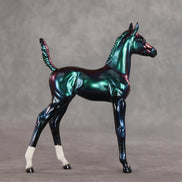 Integral OOAK Arabian Foal by Erin Corbett VV26
