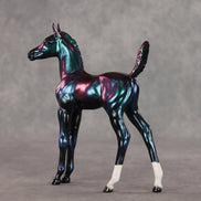 Integral OOAK Arabian Foal by Erin Corbett VV26