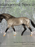 Into the Everglades LE-5 Irish Draught by Enrique Duarte ES26