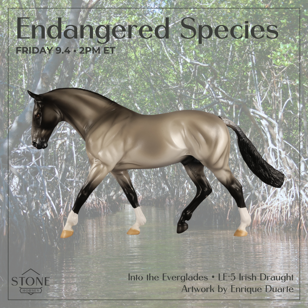Into the Everglades LE-5 Irish Draught by Enrique Duarte ES26
