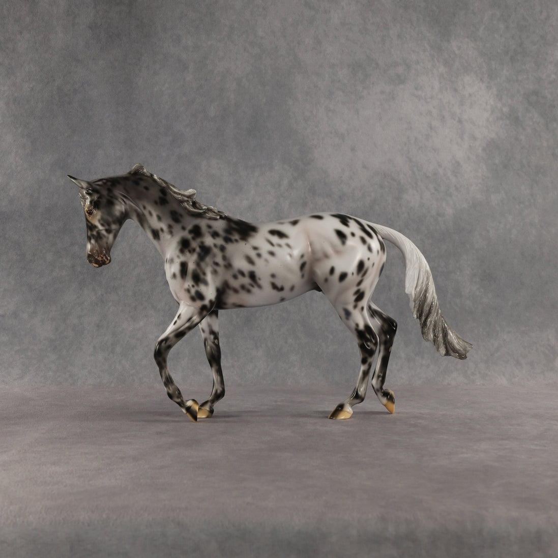Invaded by the Dark OOAK Thoroughbred by Carissa Mathews SHCF26
