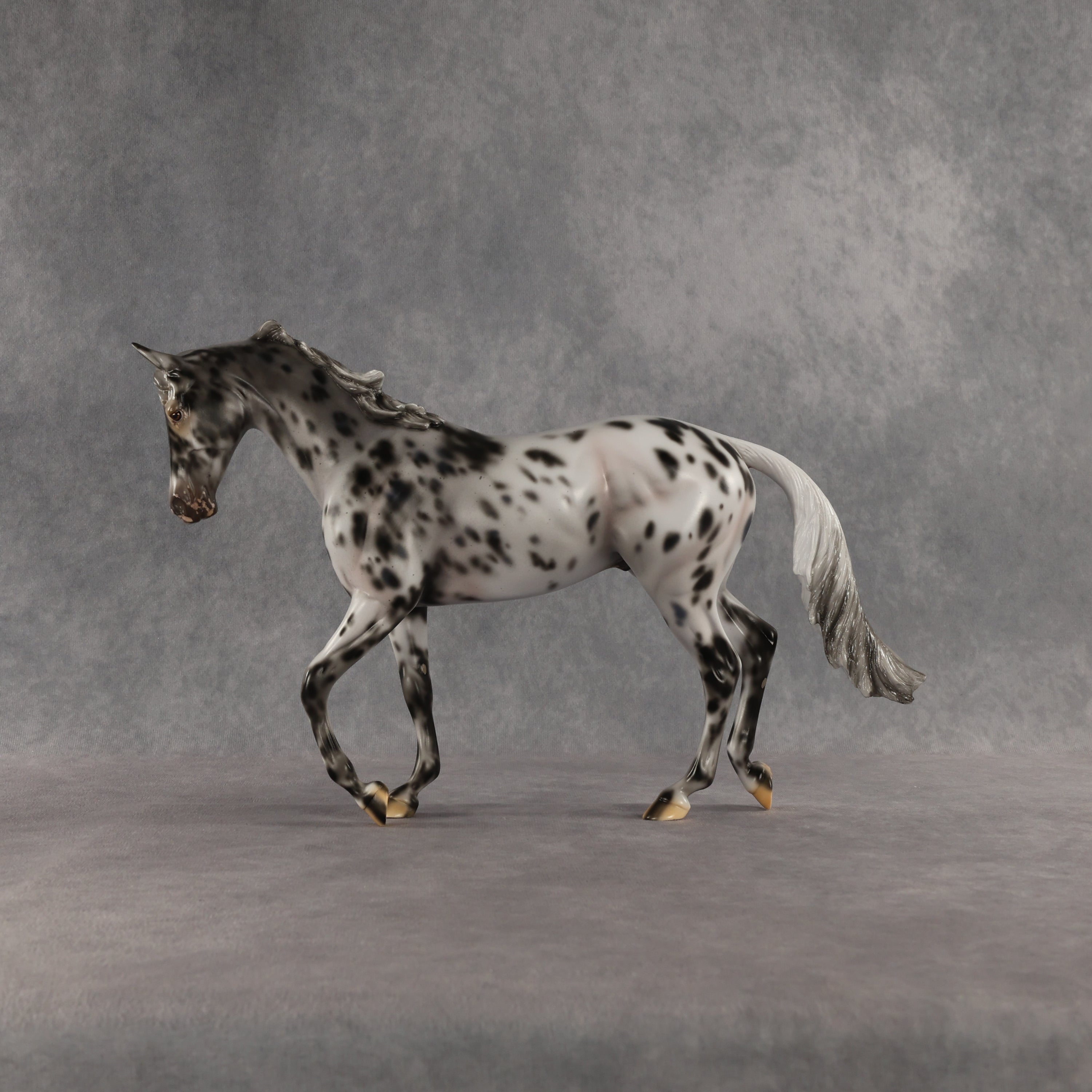 Invaded by the Dark OOAK Thoroughbred by Carissa Mathews SHCF26
