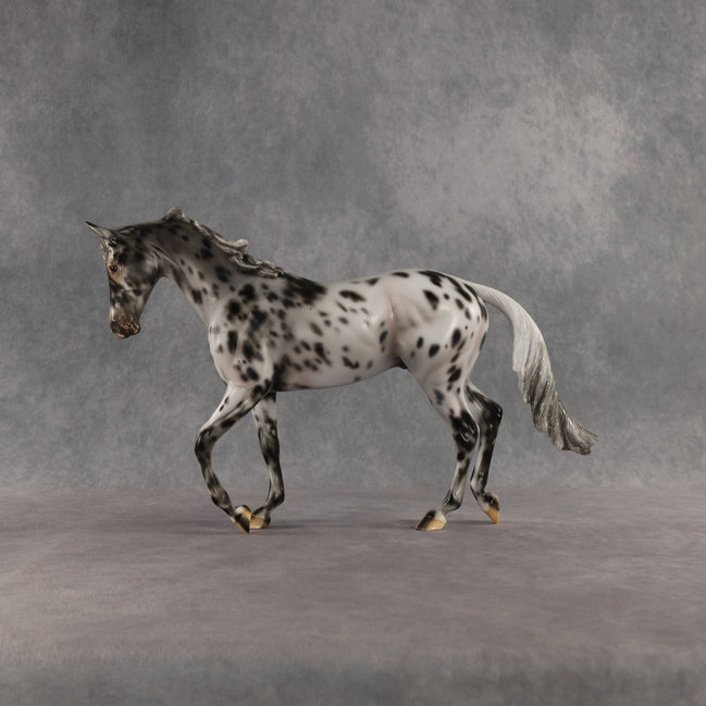 Invaded by the Dark OOAK Thoroughbred by Carissa Mathews SHCF26