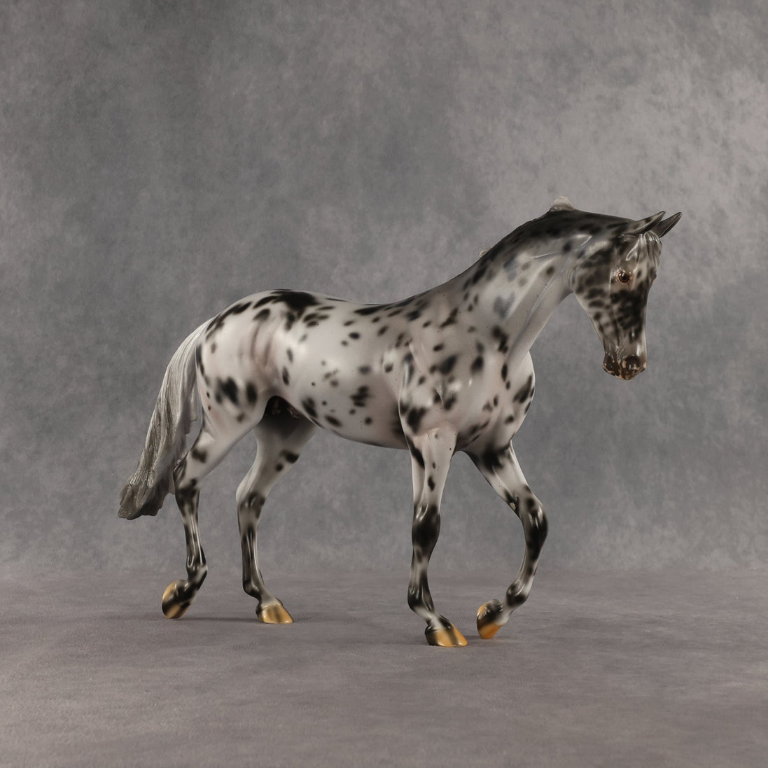 Invaded by the Dark OOAK Thoroughbred by Carissa Mathews SHCF26