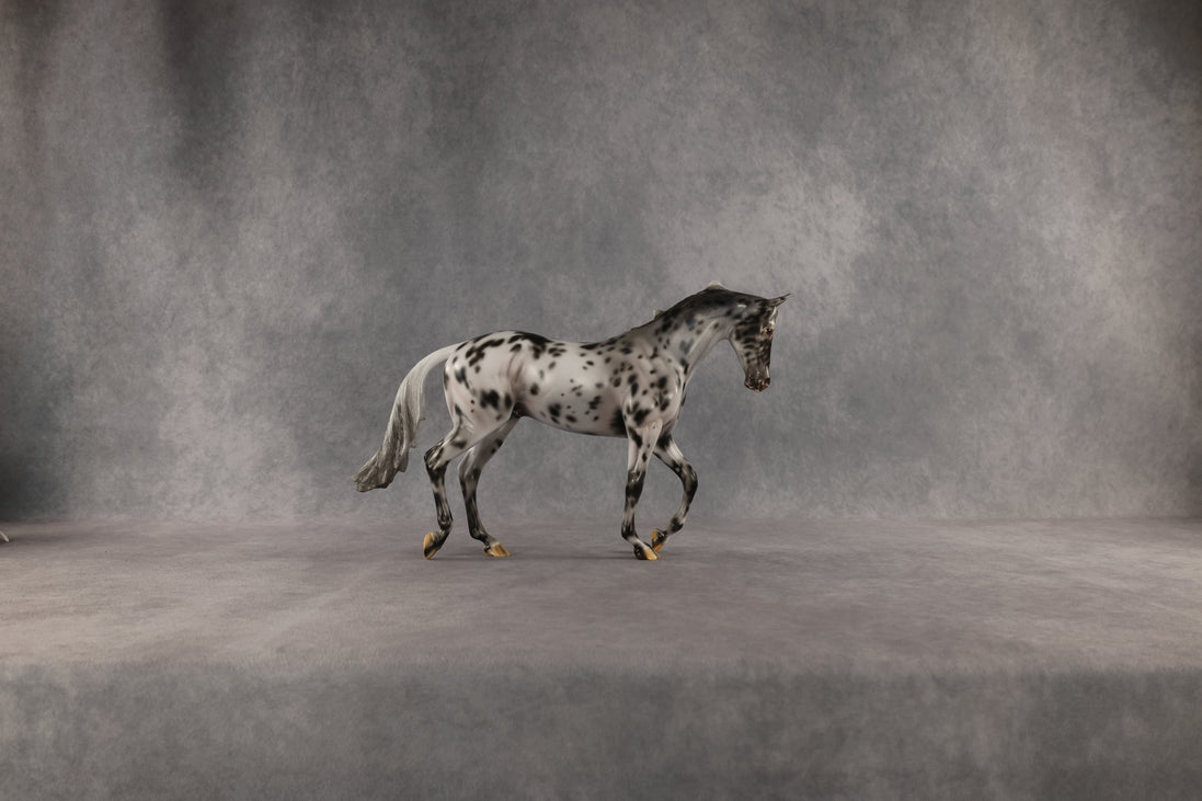 Invaded by the Dark OOAK Thoroughbred by Carissa Mathews SHCF26