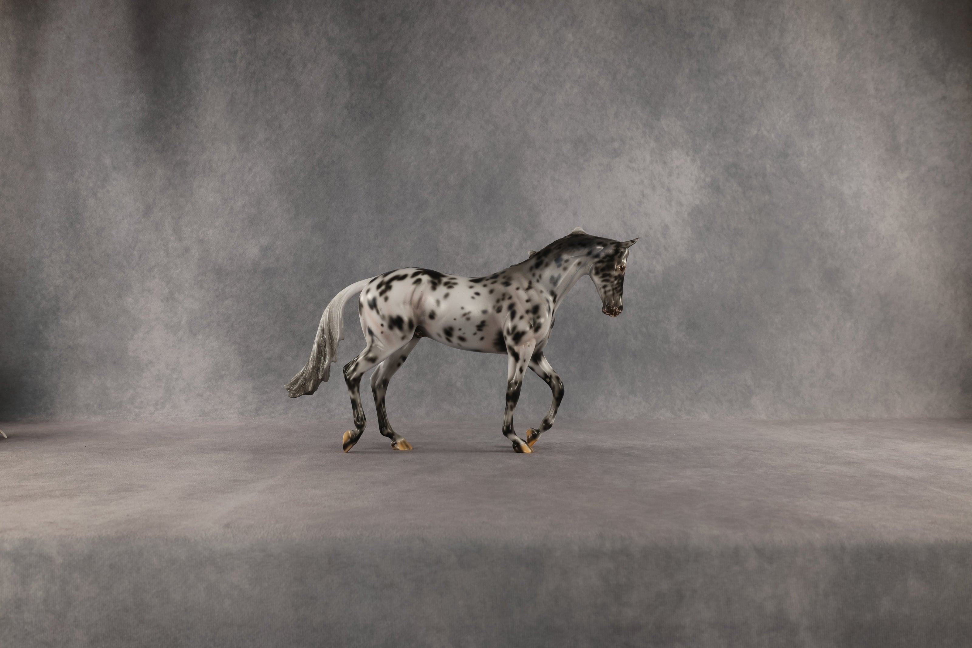 Invaded by the Dark OOAK Thoroughbred by Carissa Mathews SHCF26