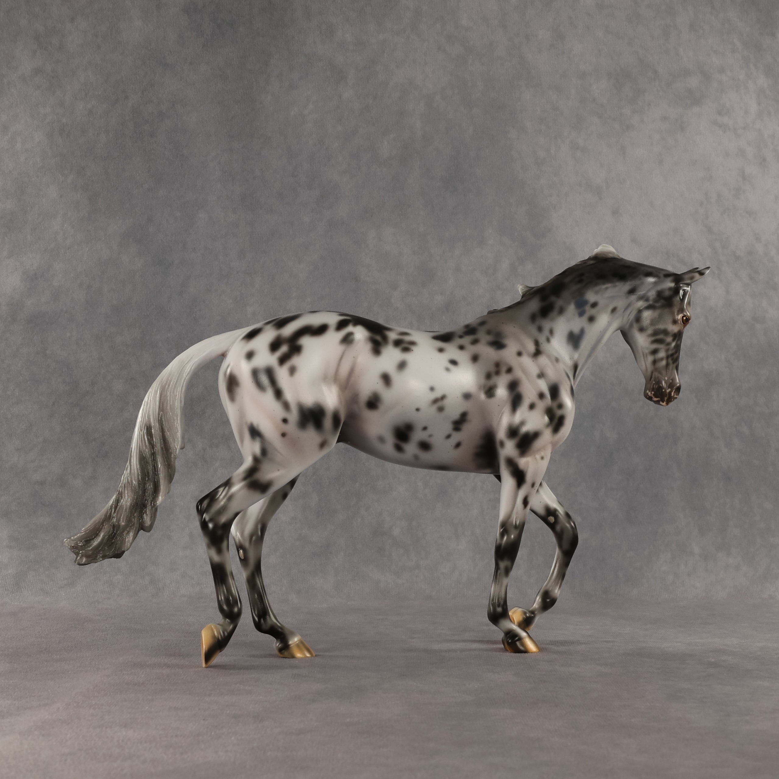 Invaded by the Dark OOAK Thoroughbred by Carissa Mathews SHCF26