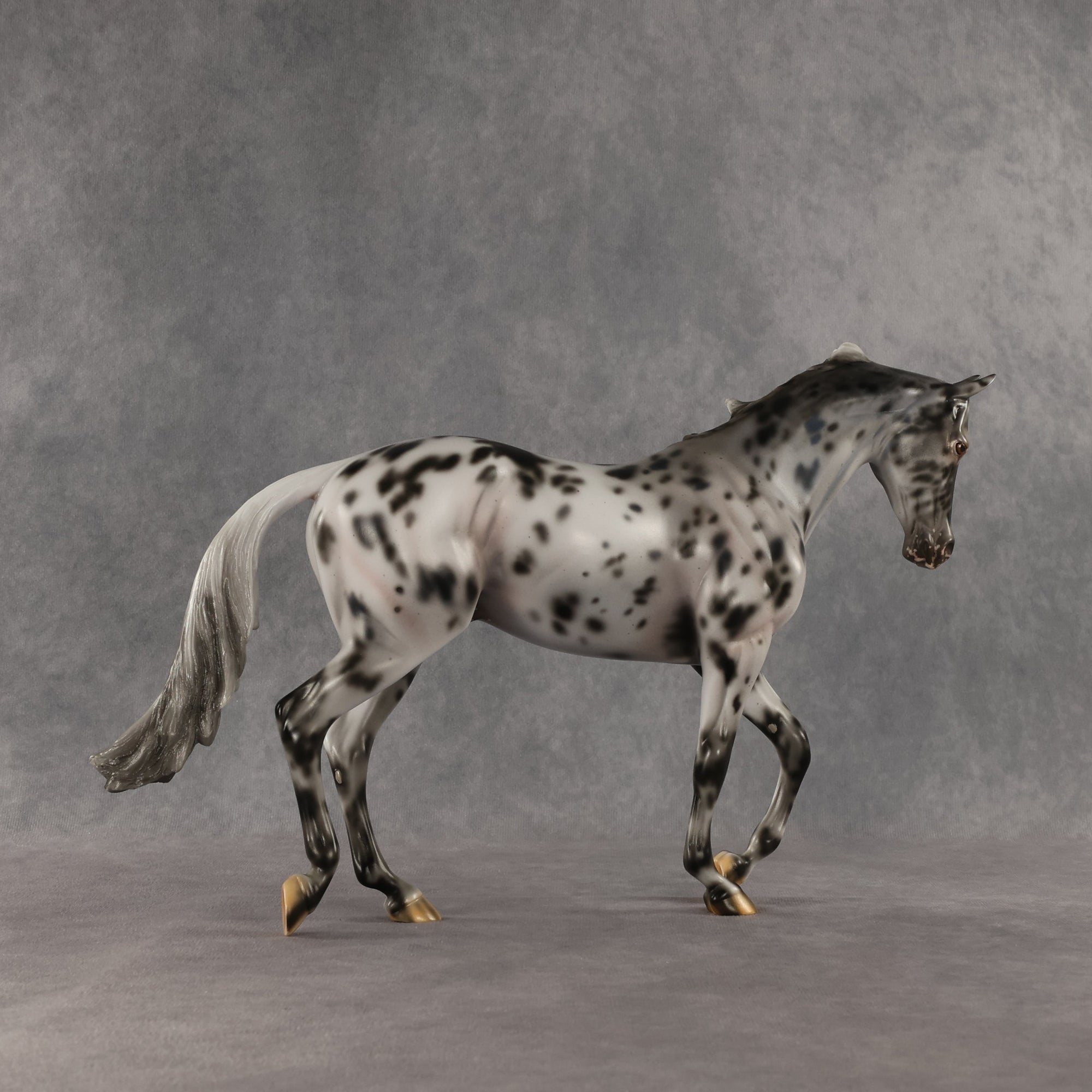 Invaded by the Dark OOAK Thoroughbred by Carissa Mathews SHCF26