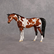 Ipanema OOAK Pebble Arabian Mare by Dawn Quick EQ26