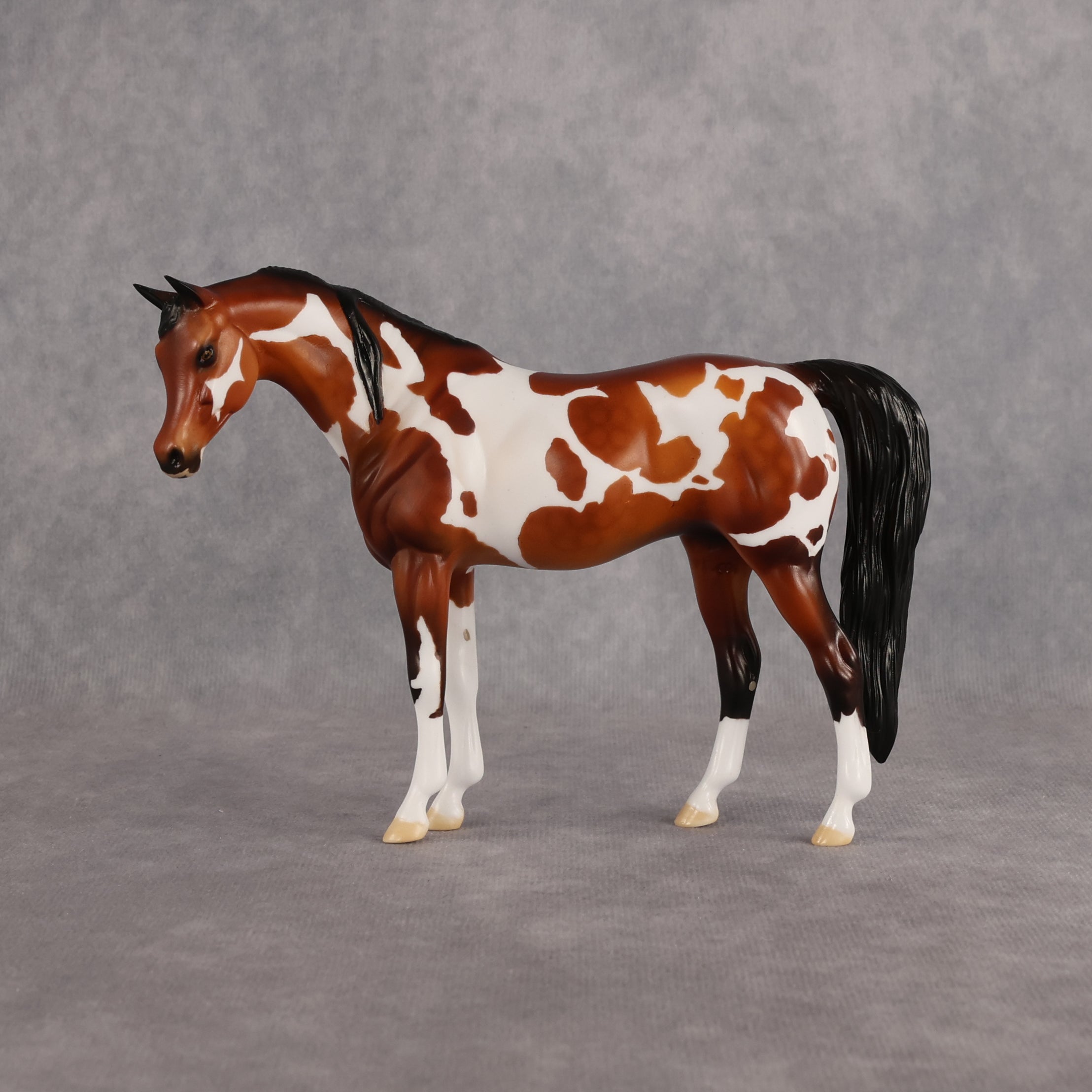 Ipanema OOAK Pebble Arabian Mare by Dawn Quick EQ26