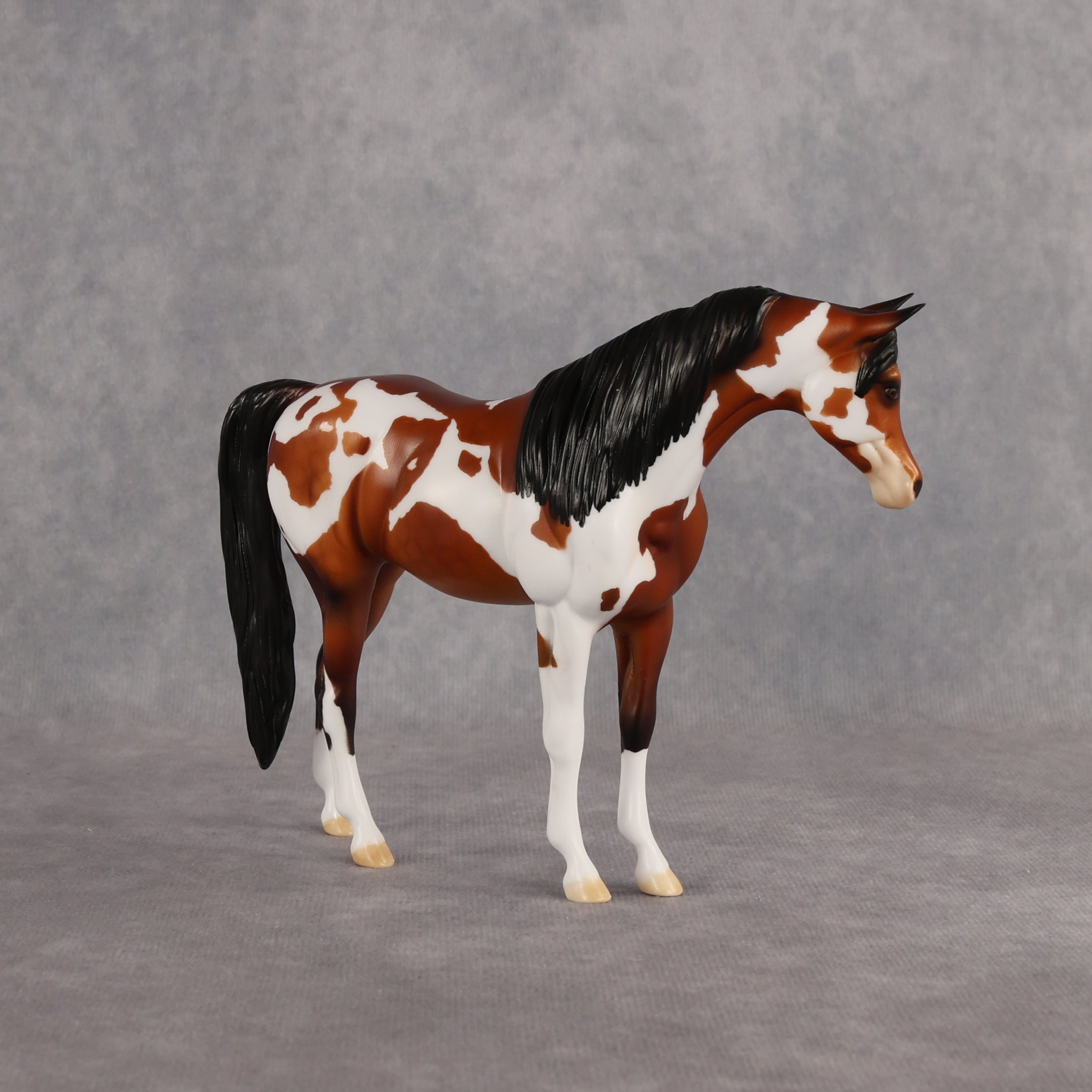 Ipanema OOAK Pebble Arabian Mare by Dawn Quick EQ26