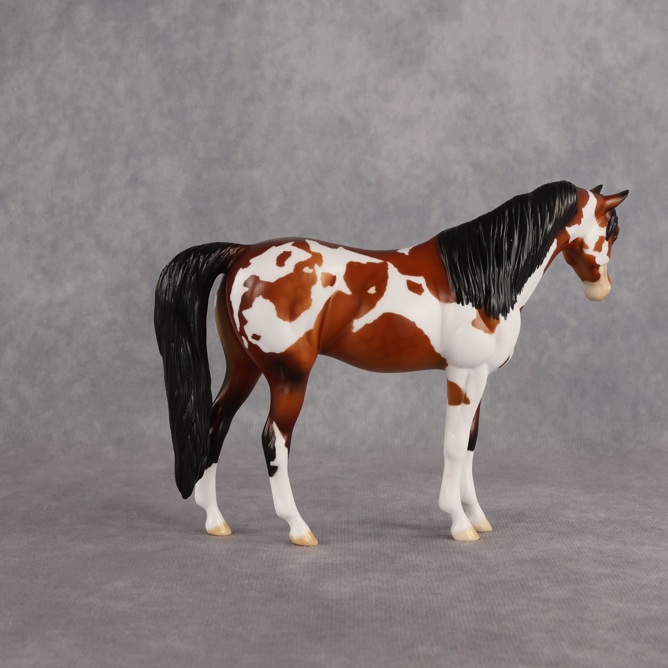 Ipanema OOAK Pebble Arabian Mare by Dawn Quick EQ26