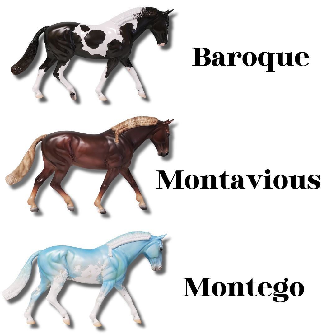 Irish Draught - Loyalty Release Loyalty Club 23/24 (Substituted for Arabian)