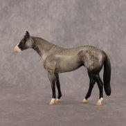 Isaac OOAK Chip Stock Horse by Alex Fortman LHS26