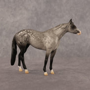 Isaac OOAK Chip Stock Horse by Alex Fortman LHS26