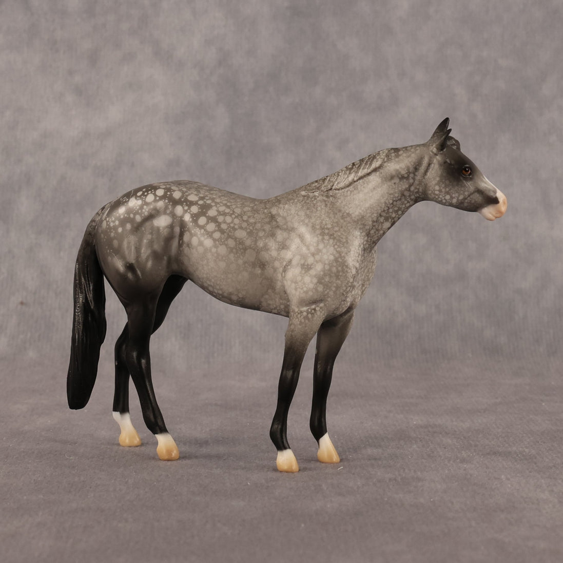 Isaac OOAK Chip Stock Horse by Alex Fortman LHS26