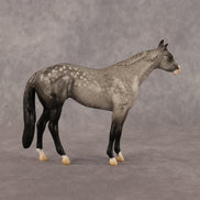 Isaac OOAK Chip Stock Horse by Alex Fortman LHS26