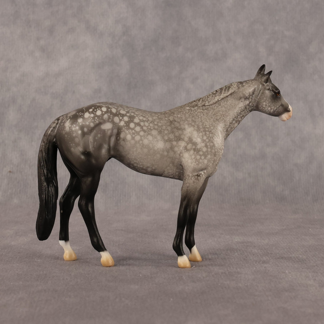 Isaac OOAK Chip Stock Horse by Alex Fortman LHS26