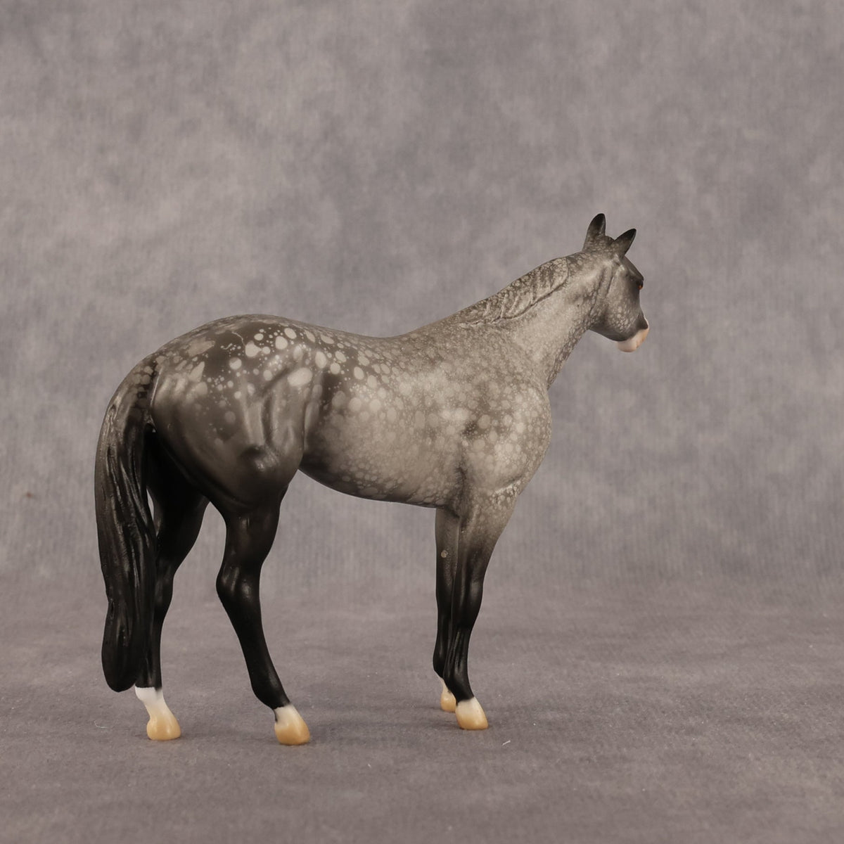 Isaac OOAK Chip Stock Horse by Alex Fortman LHS26