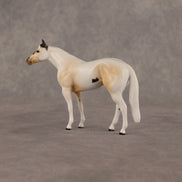 Isre OOAK Chip Stock Horse by Anna Rieck EQ26