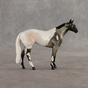 Ivy & Vine OOAK Chip FCM Stock Horse & Chip Foal by Anna Rieck SCD26