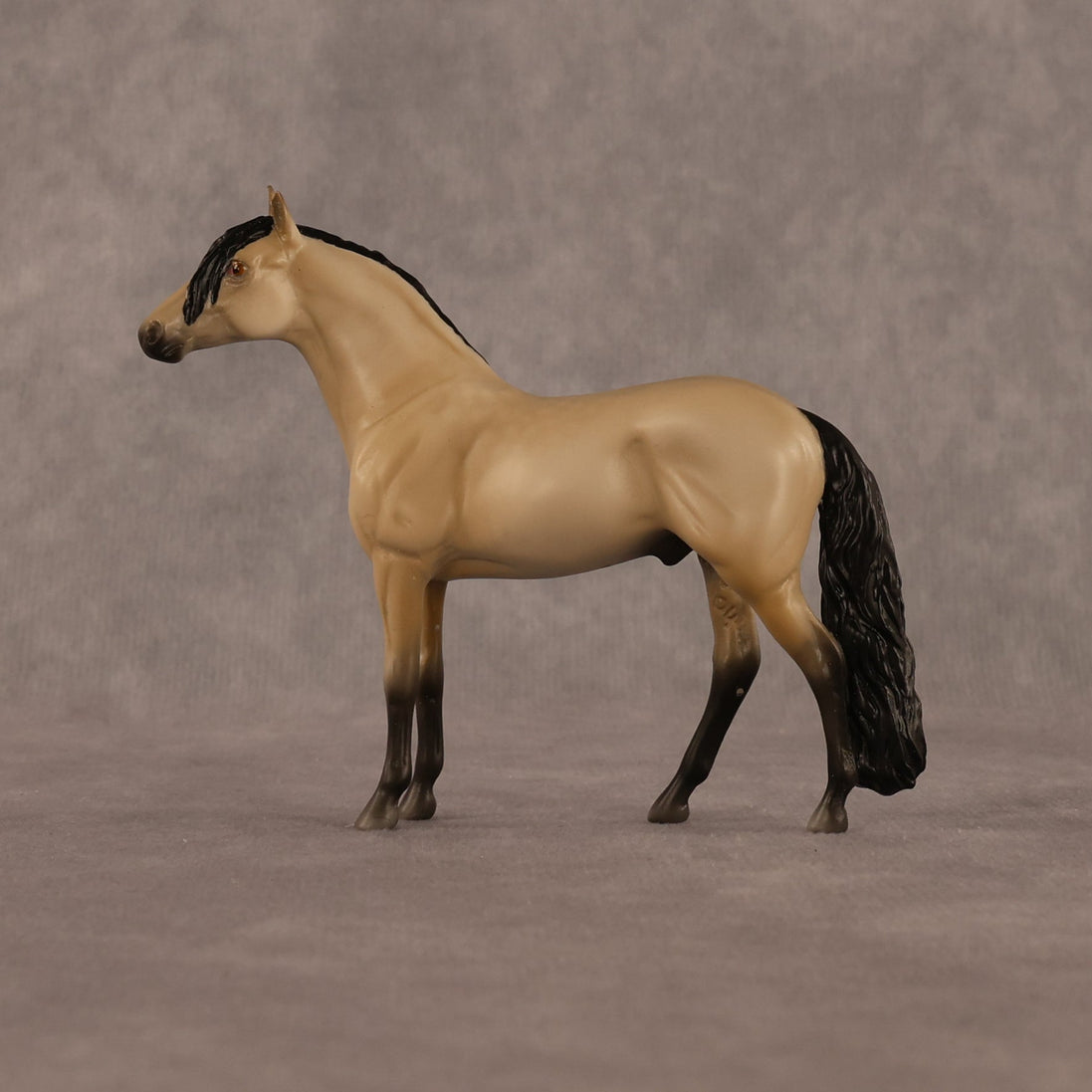Jack OOAK Chip Andalusian by Madi Wiseman LHS26