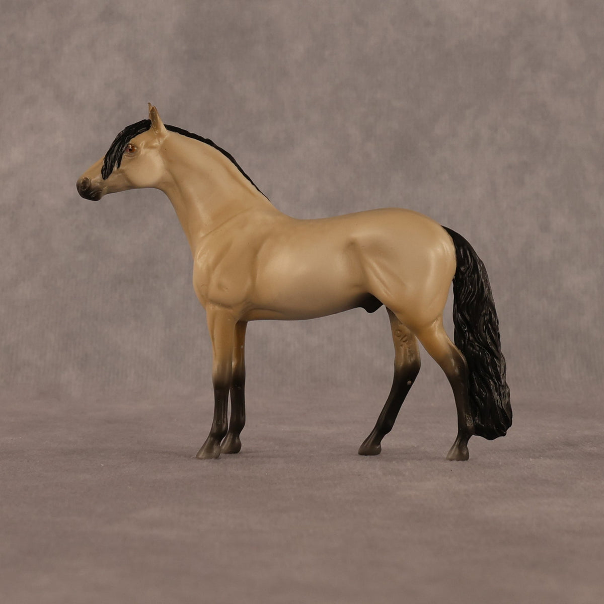 Jack OOAK Chip Andalusian by Madi Wiseman LHS26