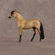 Jack OOAK Chip Andalusian by Madi Wiseman LHS26