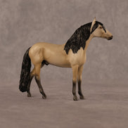 Jack OOAK Chip Andalusian by Madi Wiseman LHS26