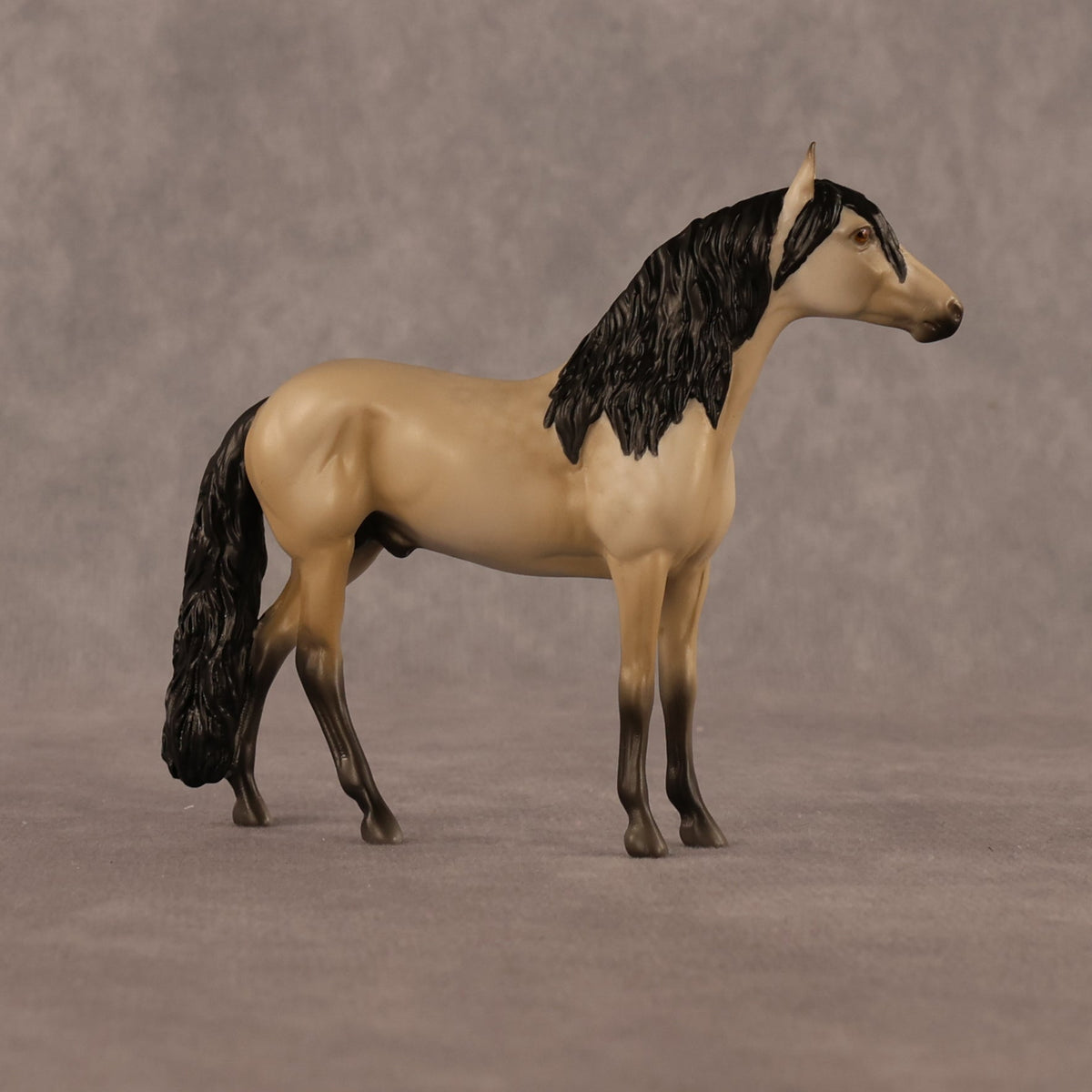 Jack OOAK Chip Andalusian by Madi Wiseman LHS26