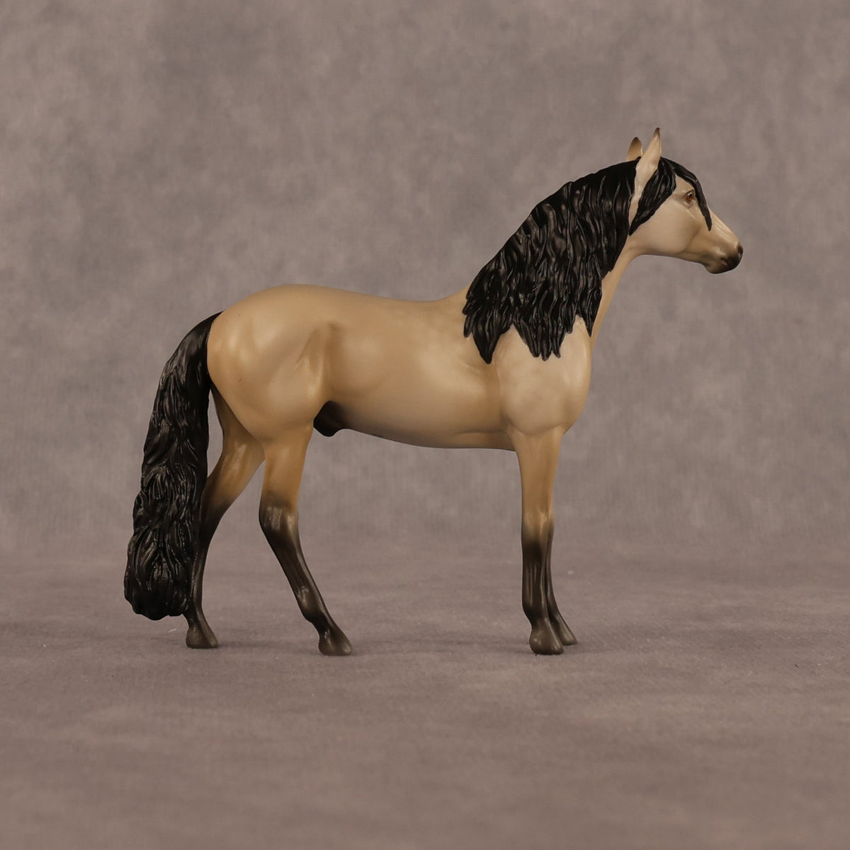Jack OOAK Chip Andalusian by Madi Wiseman LHS26