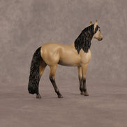 Jack OOAK Chip Andalusian by Madi Wiseman LHS26